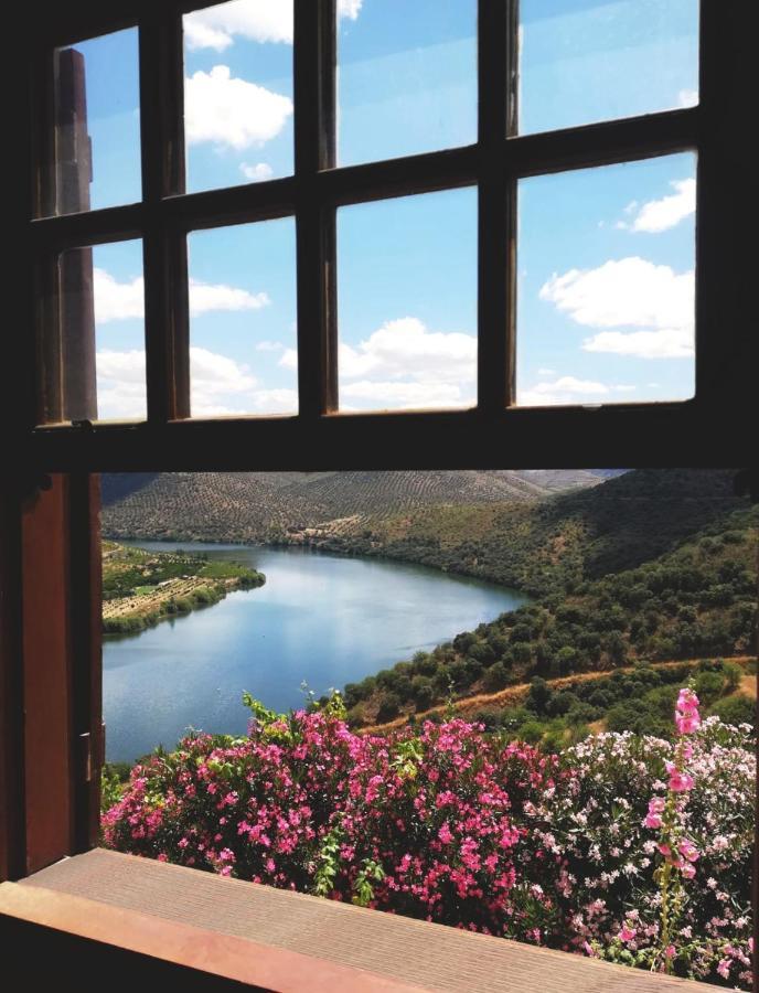Villa Auri Vila Nova de Foz Côa Eksteriør bilde