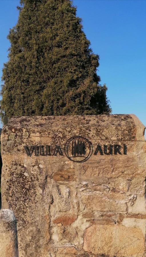 Villa Auri Vila Nova de Foz Côa Eksteriør bilde