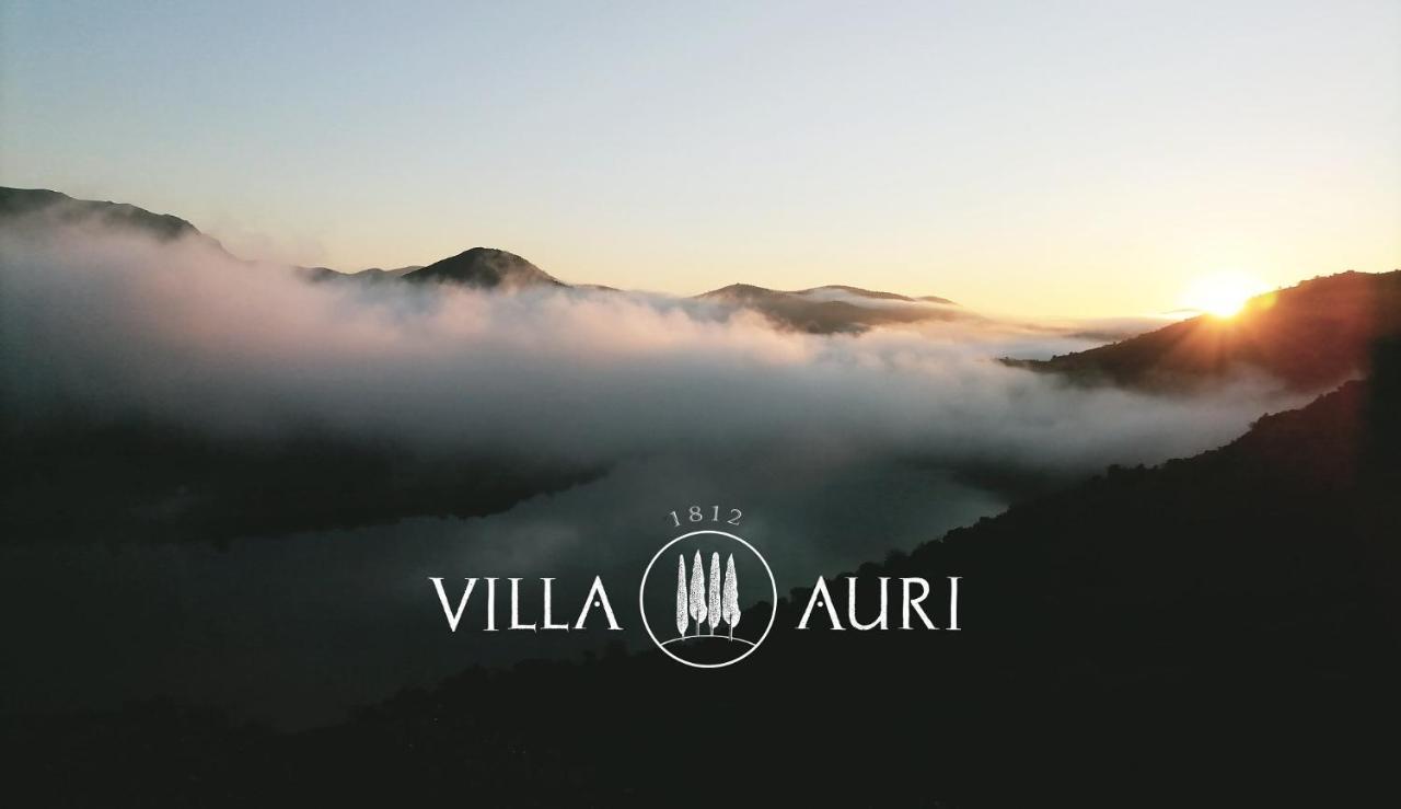 Villa Auri Vila Nova de Foz Côa Eksteriør bilde